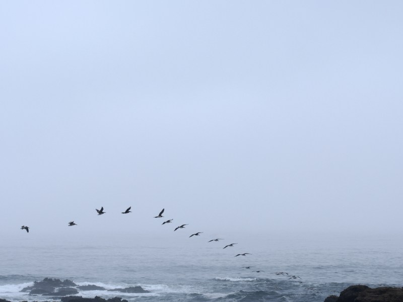 Evolution of a&nbsp;Photograph